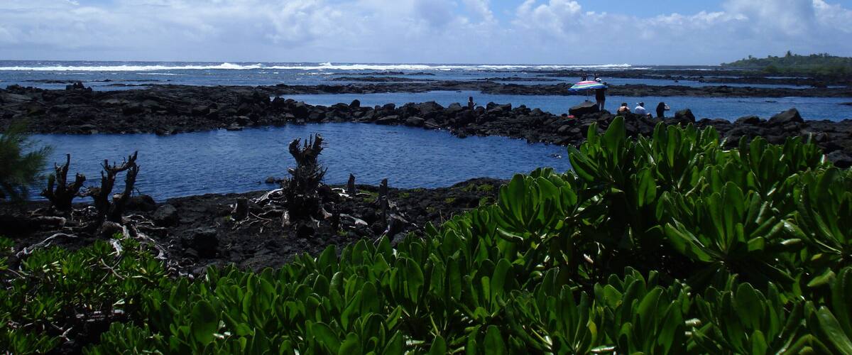 A coastal landscape with rocky terrain, green vegetation, and a clear blue sky.