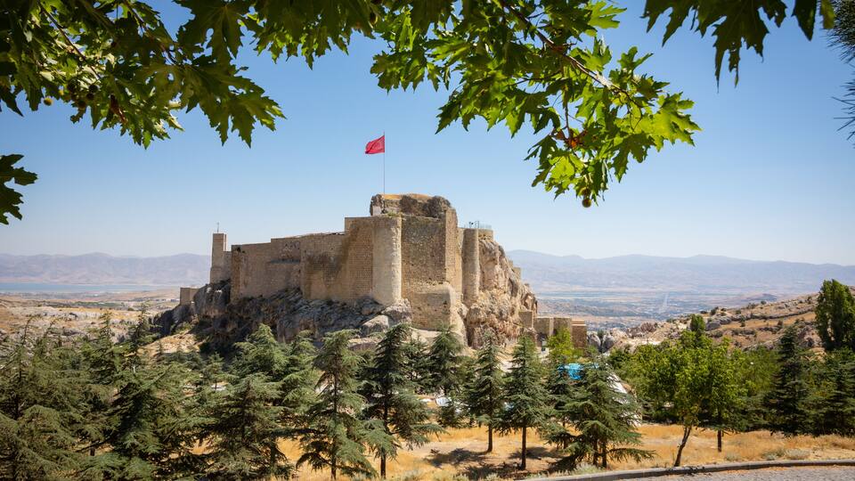 A historic castle on a hill with a flag, surrounded by trees and a clear sky.