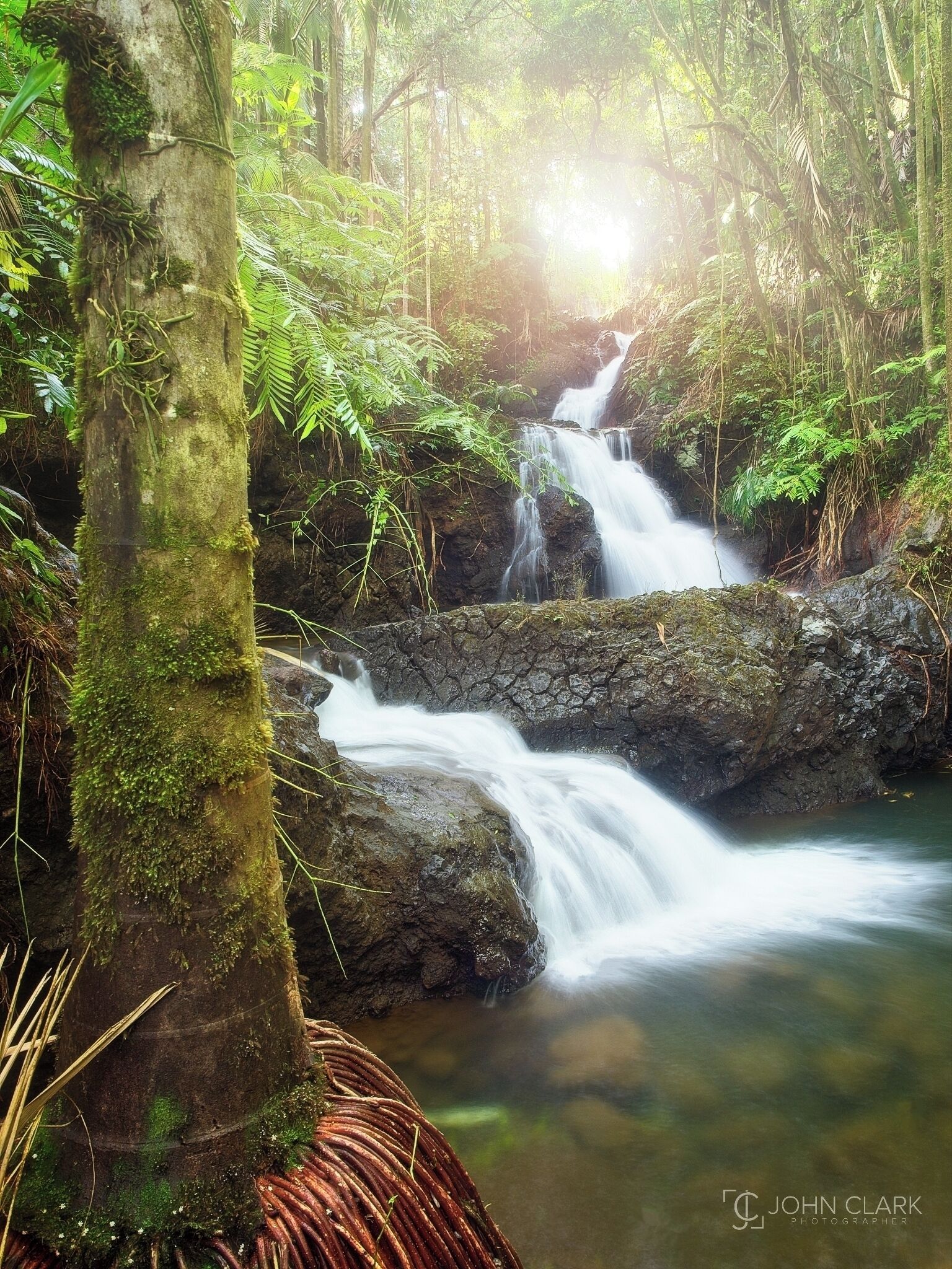 The three tiers of the beautiful Onomea Falls cascade through the Hawaiian rainforest

#hawaii #hilo #waterfall
