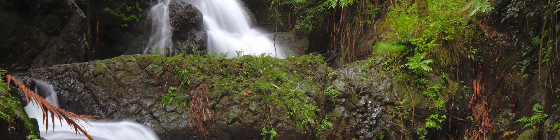 At the most beautiful garden in Hawaii, Onomea Waterfall greets one while decending into the lush valley. Lynn and I spent 4 hours taking over 500 photos of the tropical flowers, flowing water, ocean waves, and small creatures. The garden is in a natural setting, located in a secluded valley. In my opinion, this was the best Hawaiian garden we have visited. We look forward to returning to the Hilo side of Hawaii sometime next year.