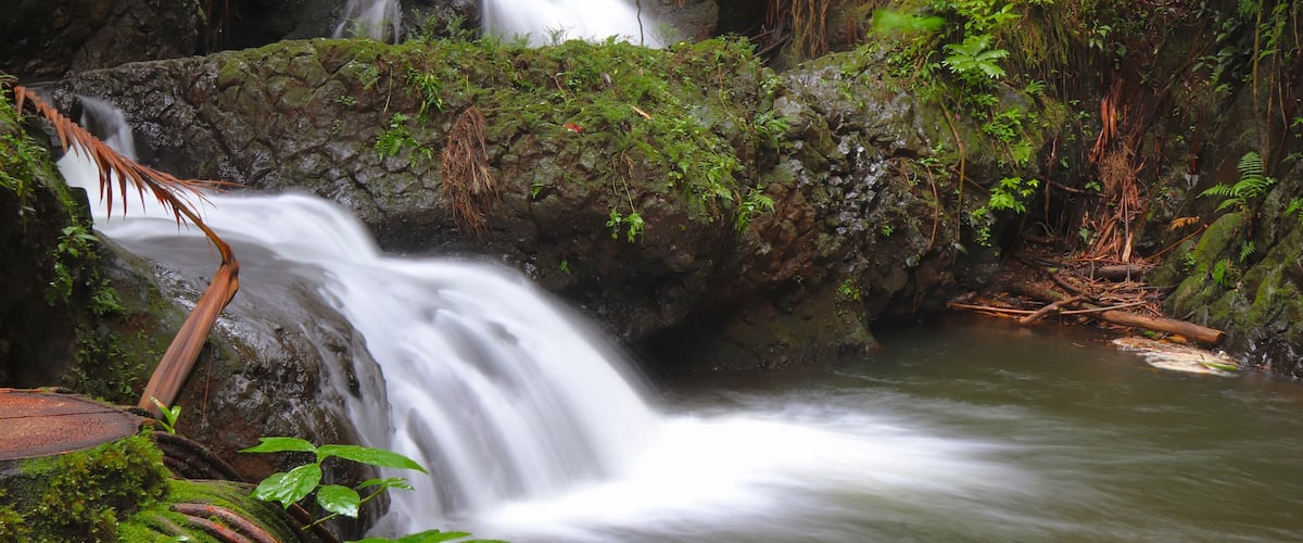 A waterfall cascading over rocks in a lush forest.