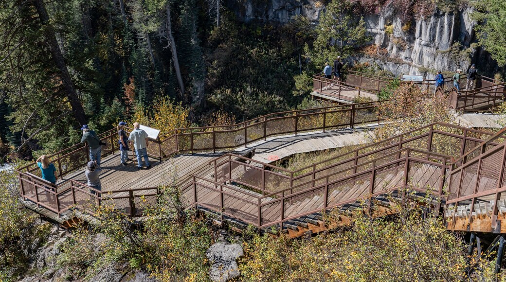 Island Park