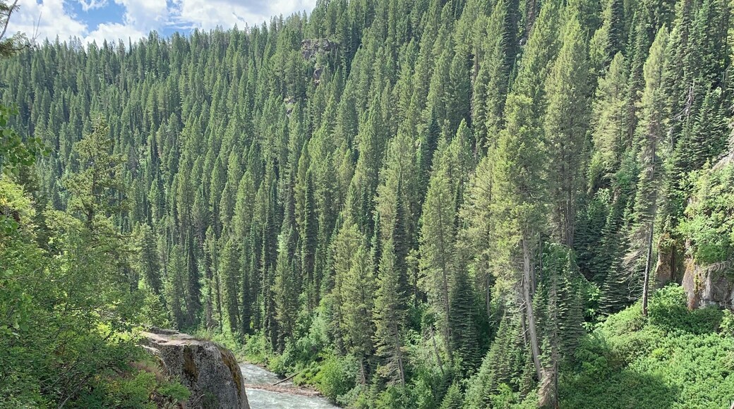 Stayed at Yellowstone RV Park and went out to Mesa Falls. Gorgeous area on the Snake River.