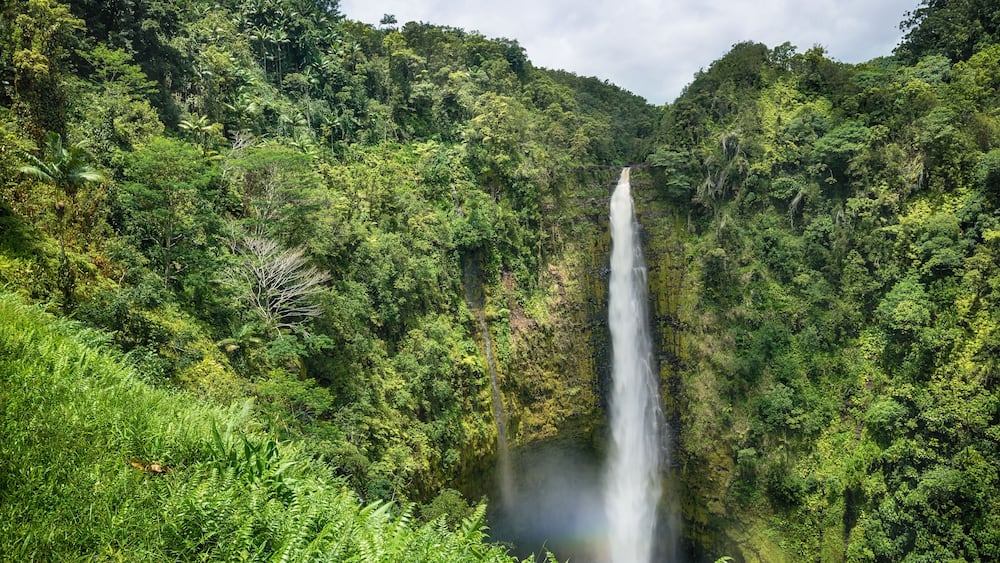 A waterfall surrounded by dense tropical forest.