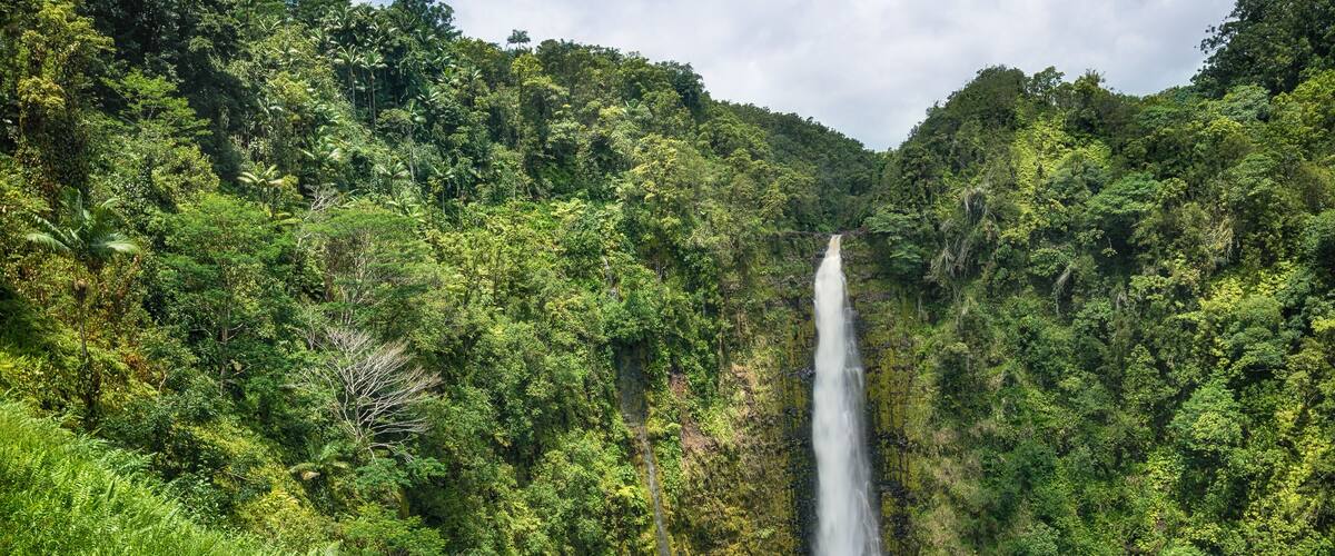 Akaka Falls State Park on Big Island, Hawaii