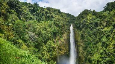 Akaka Falls State Park on Big Island, Hawaii