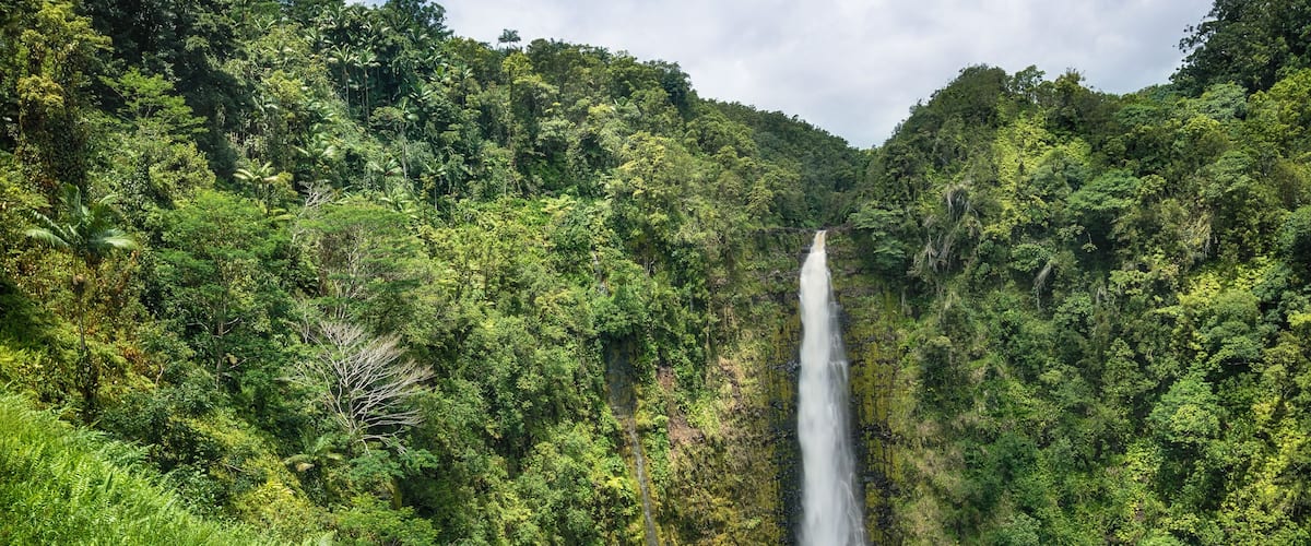 A waterfall surrounded by dense tropical forest.
