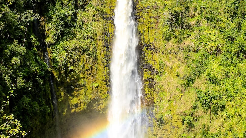 USA, Hawaii, Pepeekeo, Hawaiis wunderschöne Natur und ihre Eindrücke