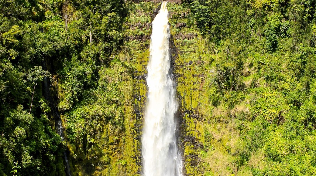 USA, Hawaii, Pepeekeo, Hawaiis wunderschöne Natur und ihre Eindrücke
