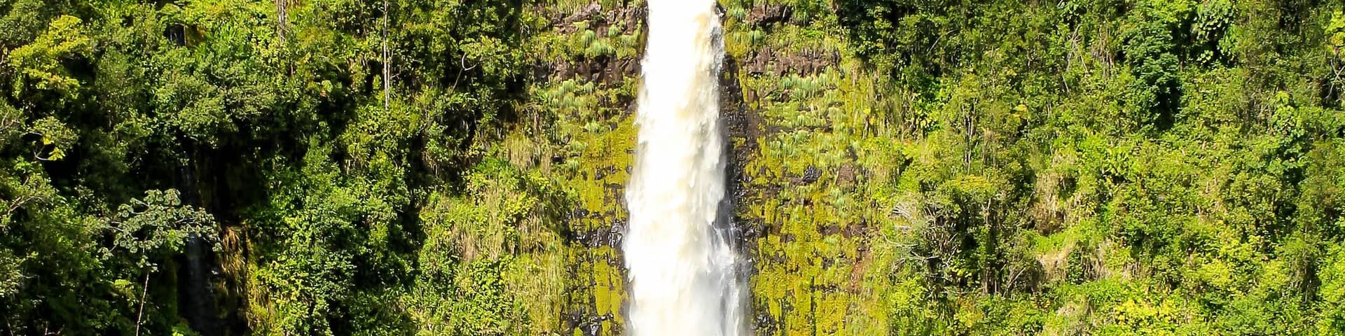 USA, Hawaii, Pepeekeo, Hawaiis wunderschöne Natur und ihre Eindrücke