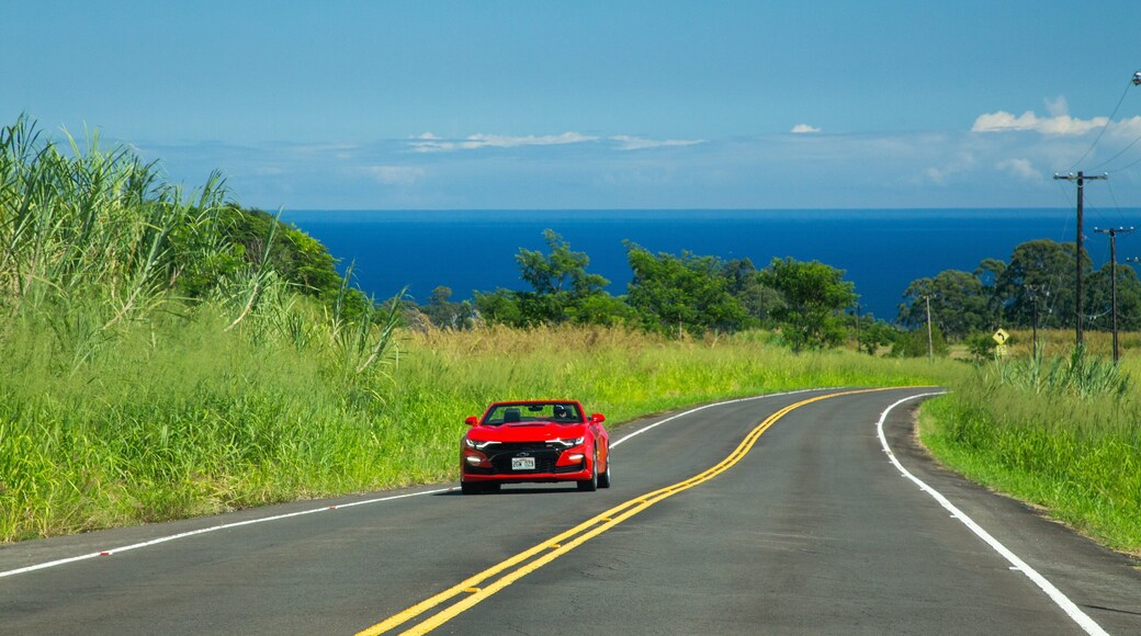 Honomu showing tranquil scenes