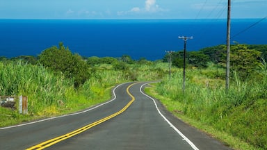 Honomu featuring tranquil scenes and general coastal views