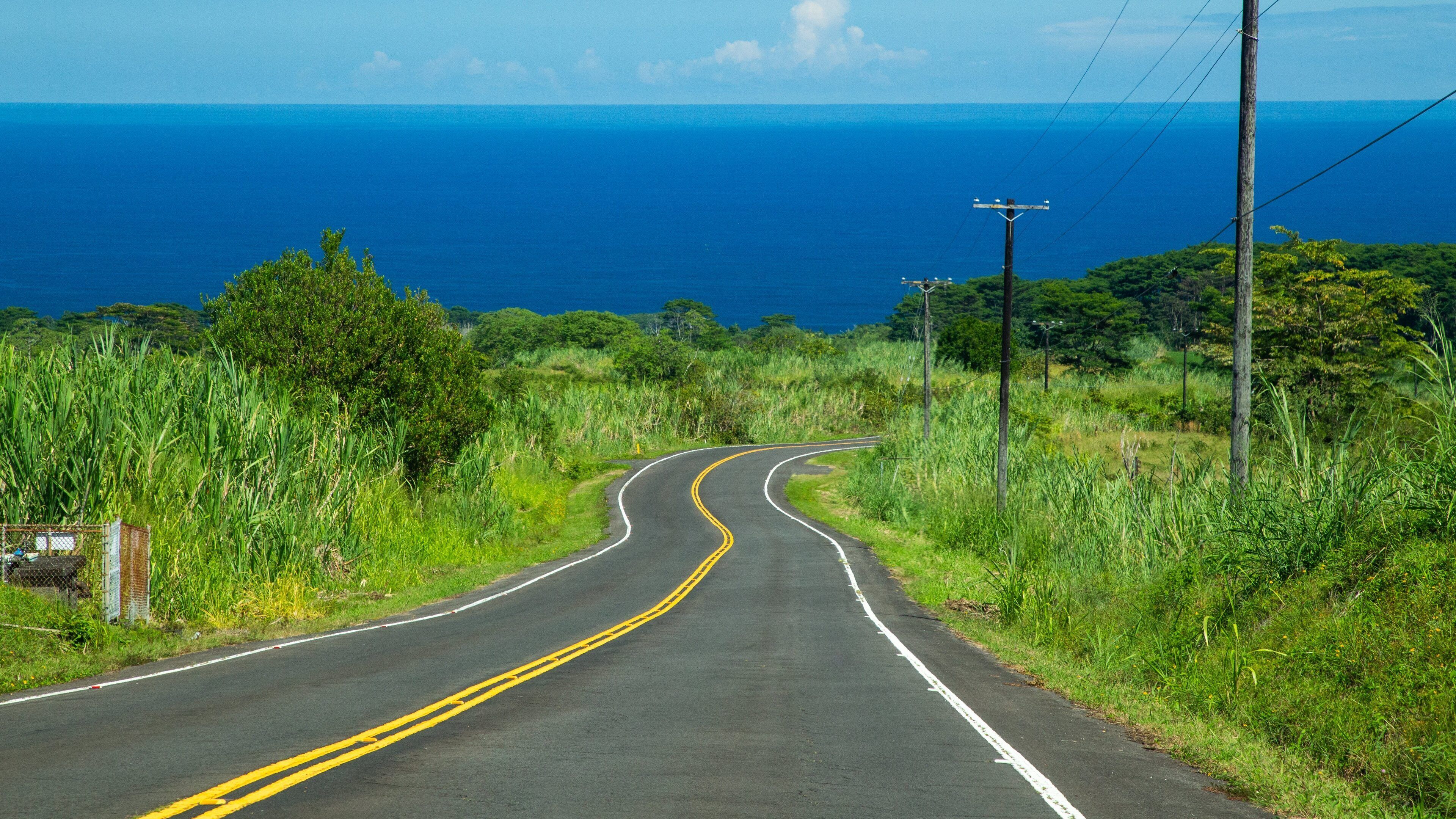 A curving road with yellow lines, surrounded by lush greenery and overlooking a vast ocean.
