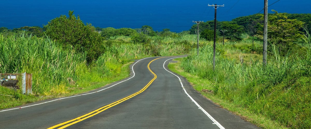 A curving road with yellow lines, surrounded by lush greenery and overlooking a vast ocean.