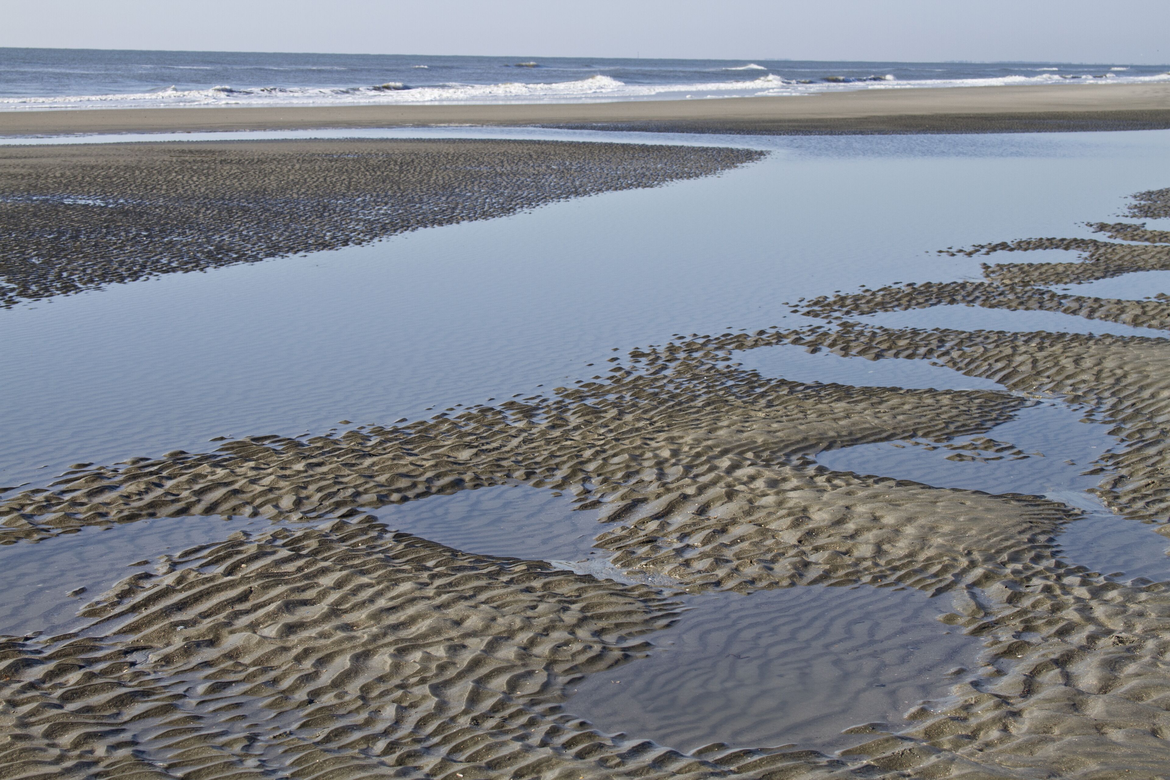 ايسل أو بالم