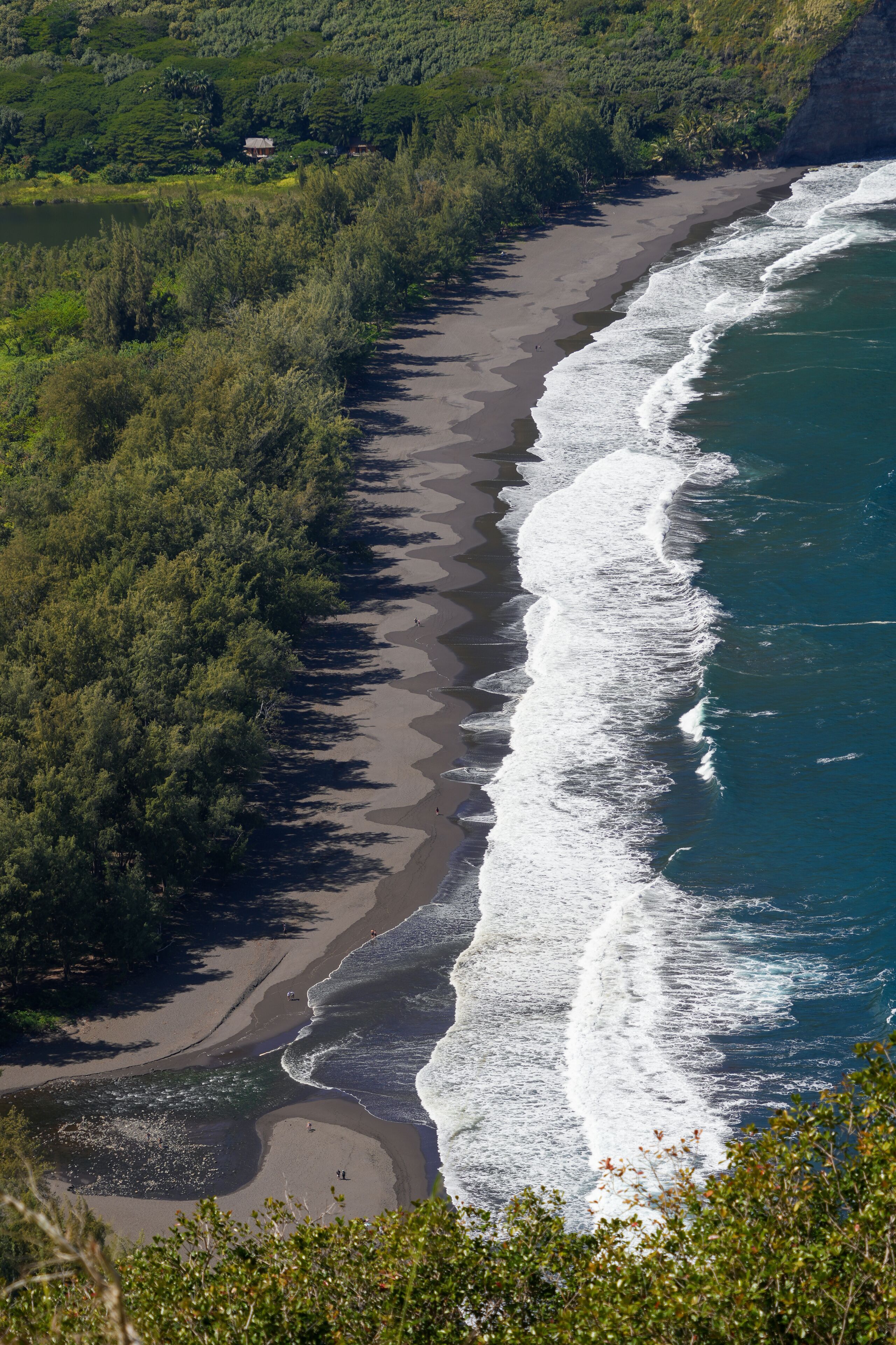 Paisaje costero con playa, olas del océano y abundante vegetación.