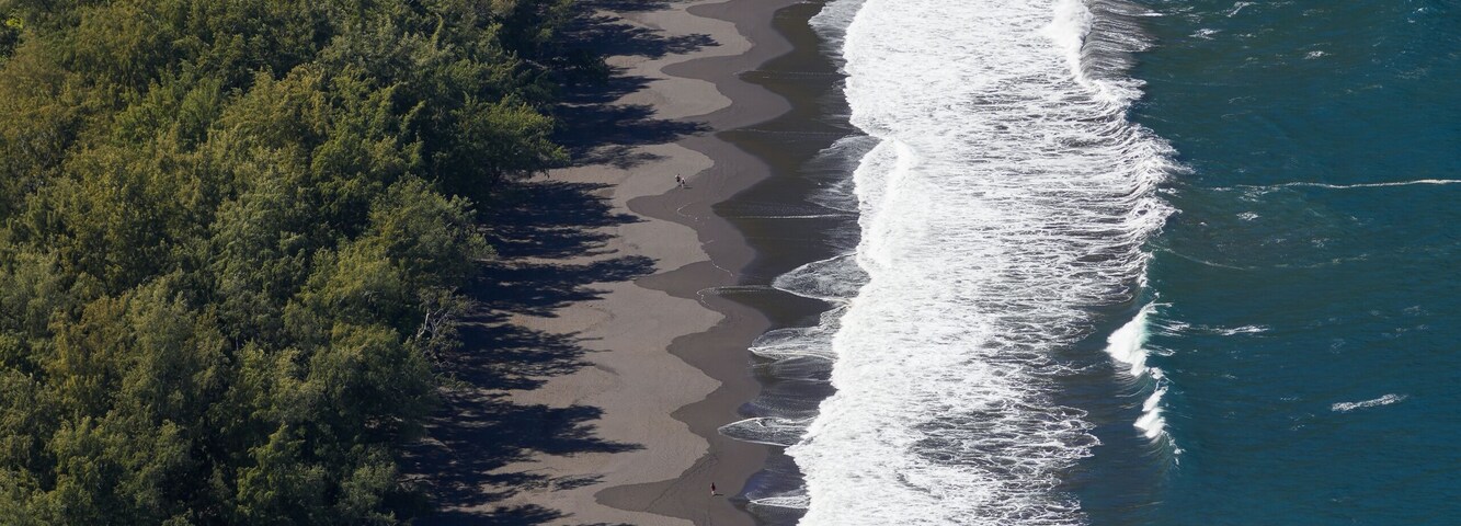 Paisaje costero con playa, olas del océano y abundante vegetación.