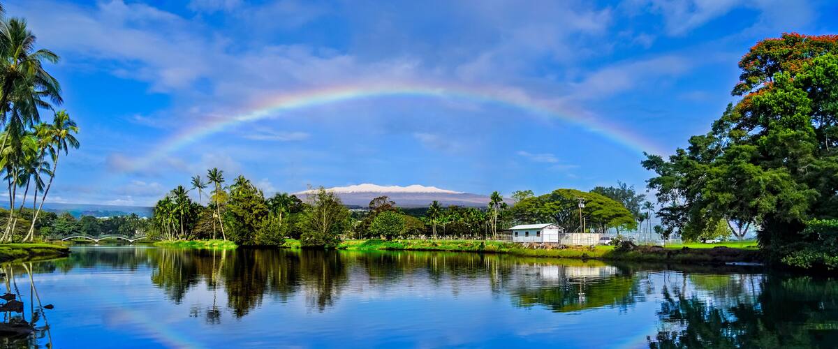 A lake with a rainbow, palm trees, a white building, and a mountain in the background.