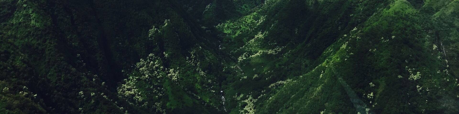 The most beautiful place I have visited so far . This place can be accessed Only by helicopter . As you enter this mountain range with the clouds welcoming you , your in a different world . #bestspot #newdiscovery #greenlush #mountinrange #clouds. #nature #helicopterride #molokai #hawaii #bestgetaway #colorful travel #bestviews #gopro #beautiful