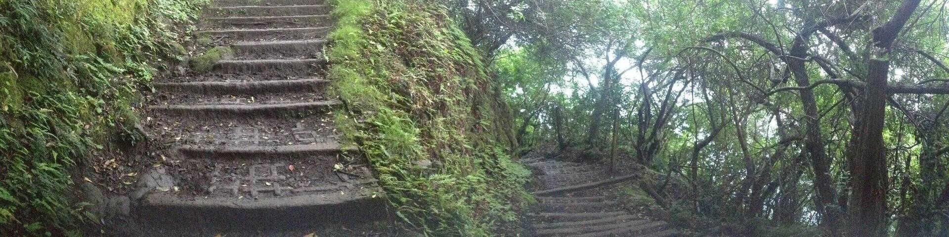 We decided to hike down to the Leper Colony down the tallest sea cliffs in the world. There were 26 switchbacks with an elevation of over 1600 feet. You can take a mule ride, but we decided not to spend the money on it. If you're not an avid hiker, take the mule ride!