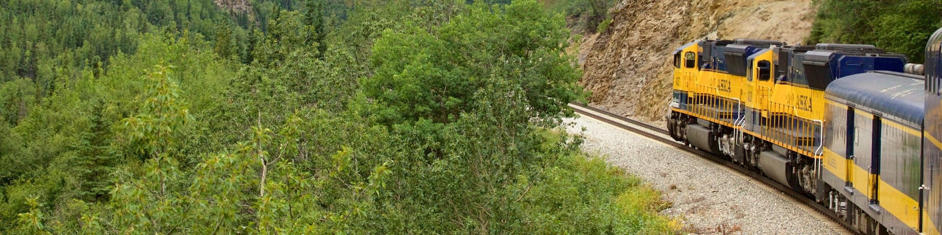 Fairbanks featuring forests and railway items