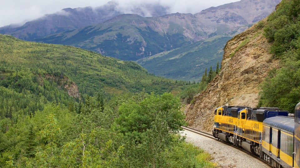A train on a mountain track surrounded by lush greenery and mountains.