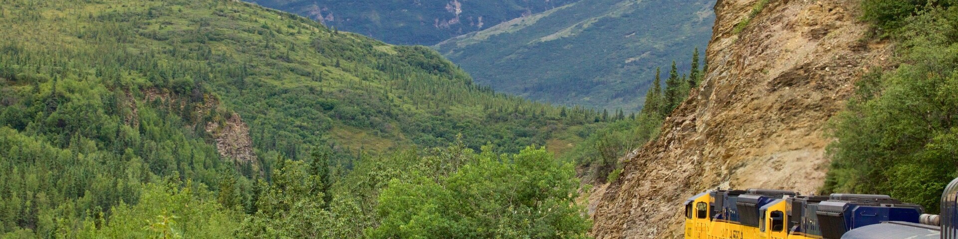 Fairbanks featuring forests and railway items