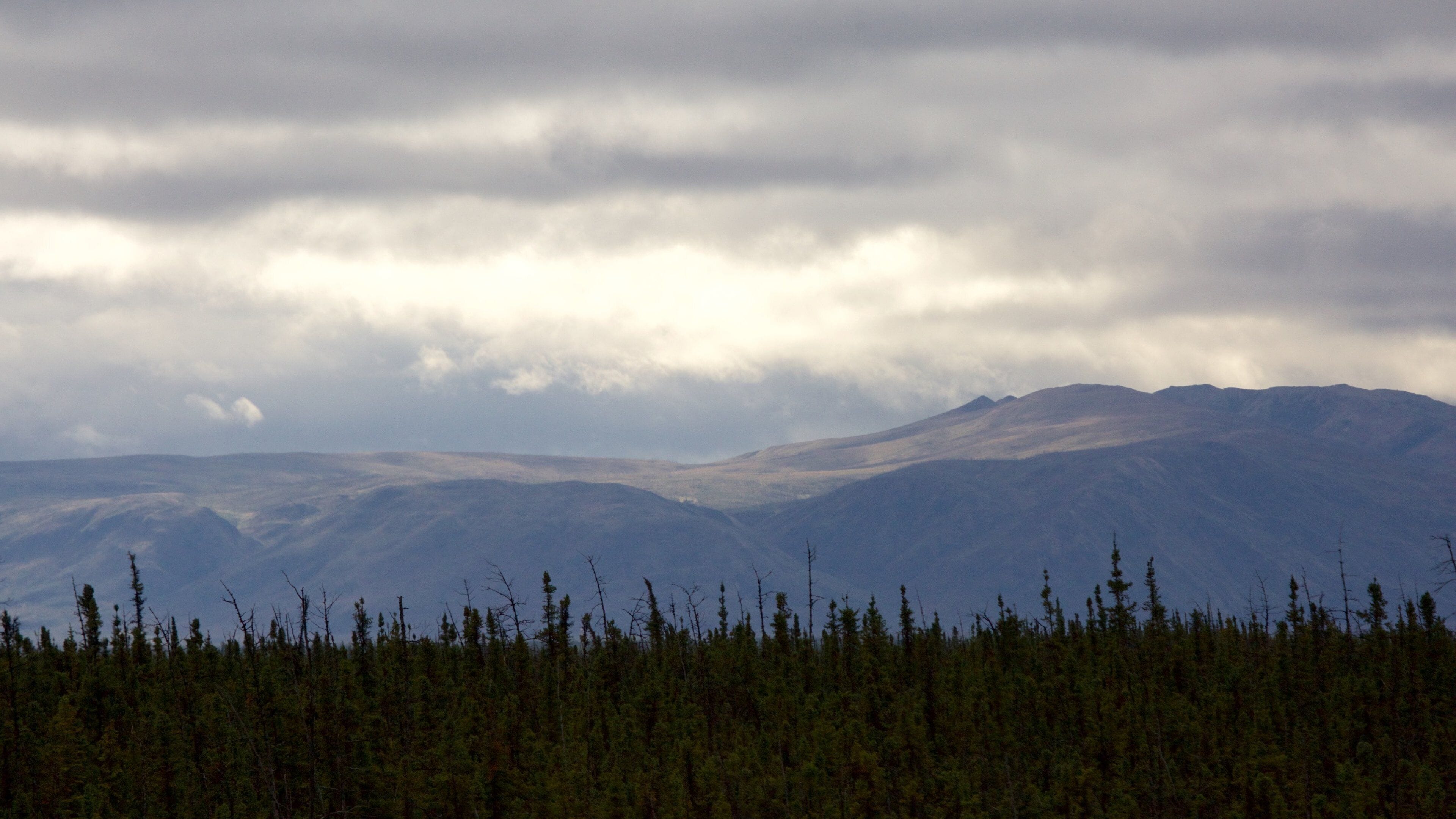 Fairbanks que incluye bosques y montañas