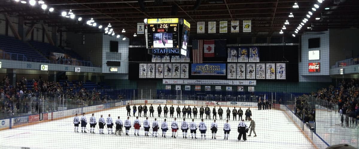 I went to the hockey game it was army agents air-force and army won 6 to 0