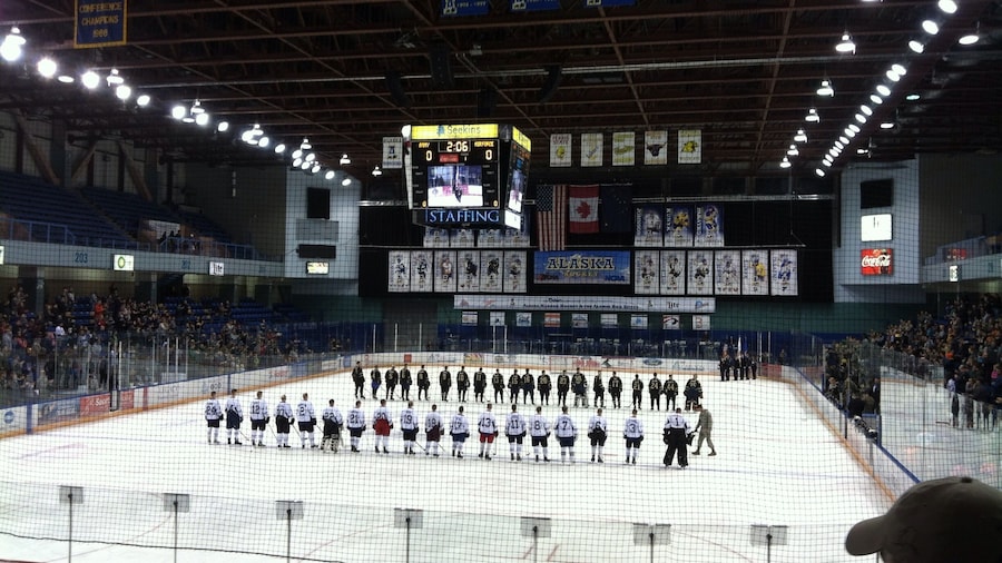 I went to the hockey game it was army agents air-force and army won 6 to 0