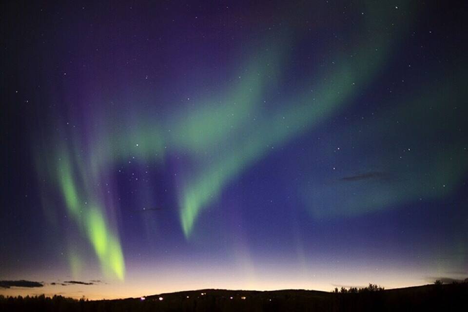 Auroras boreales sobre un paisaje oscuro, con la silueta de árboles y una colina distante.