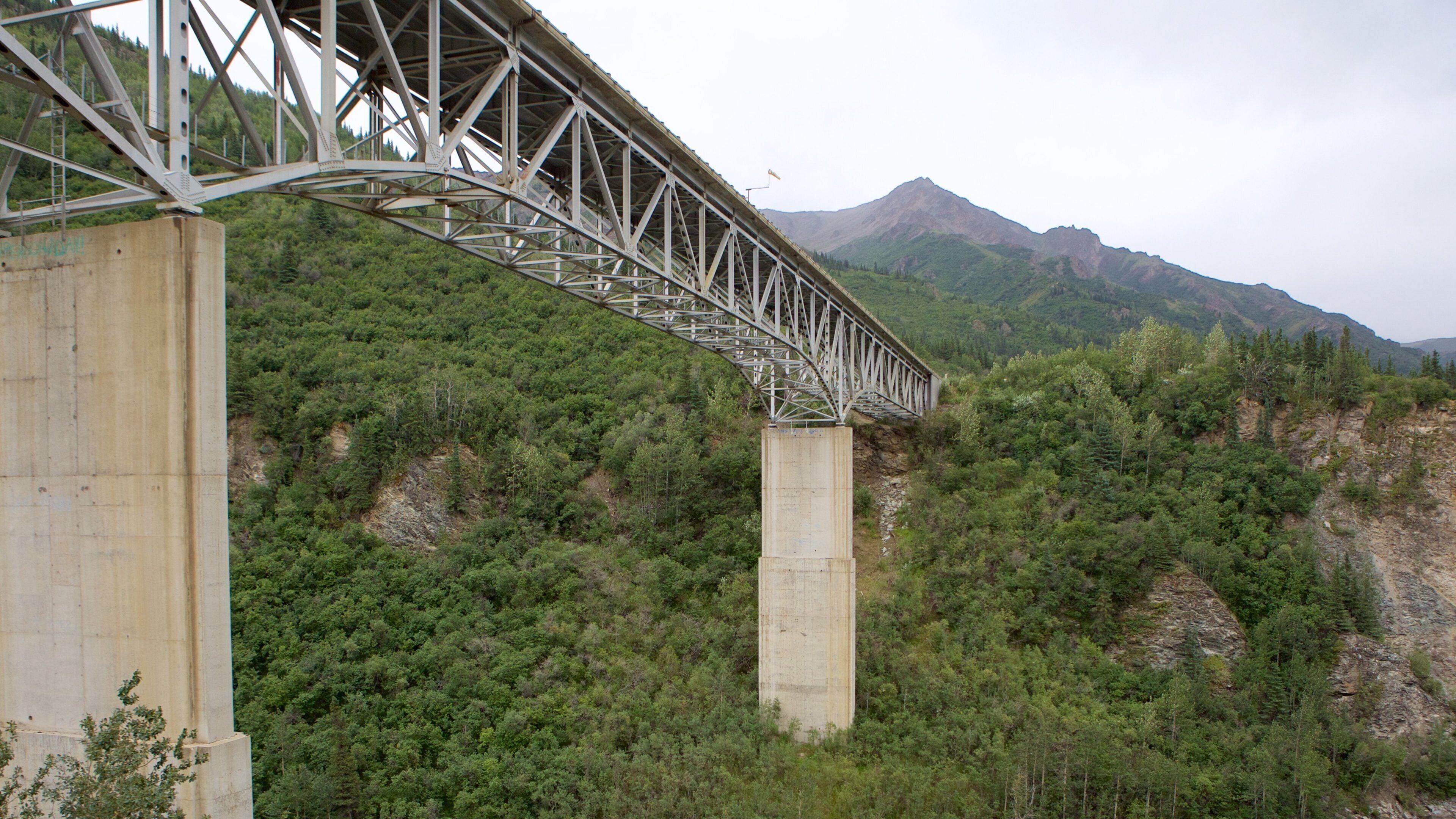 Fairbanks featuring forests and a bridge