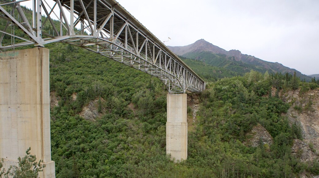 Fairbanks featuring forests and a bridge