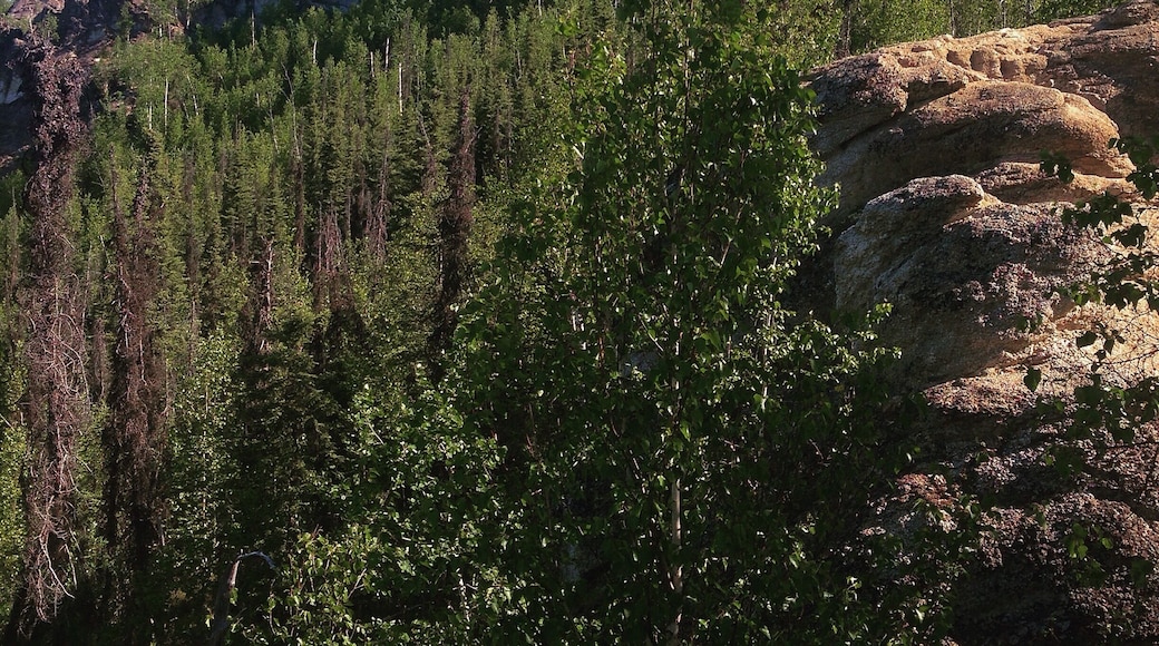 Angel Rocks Trail in Chena River State Recreation Area.