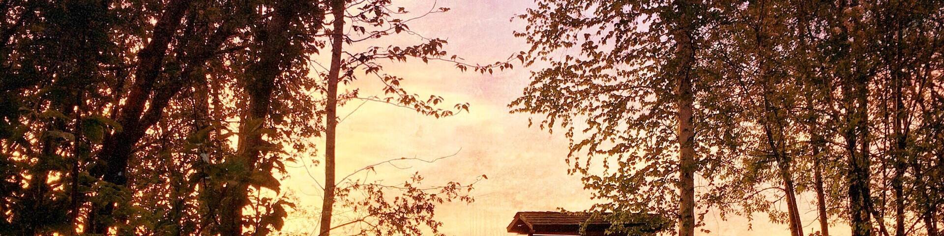A wooden boardwalk leading to a wooden structure with a roof, surrounded by trees and a sunset in the background.