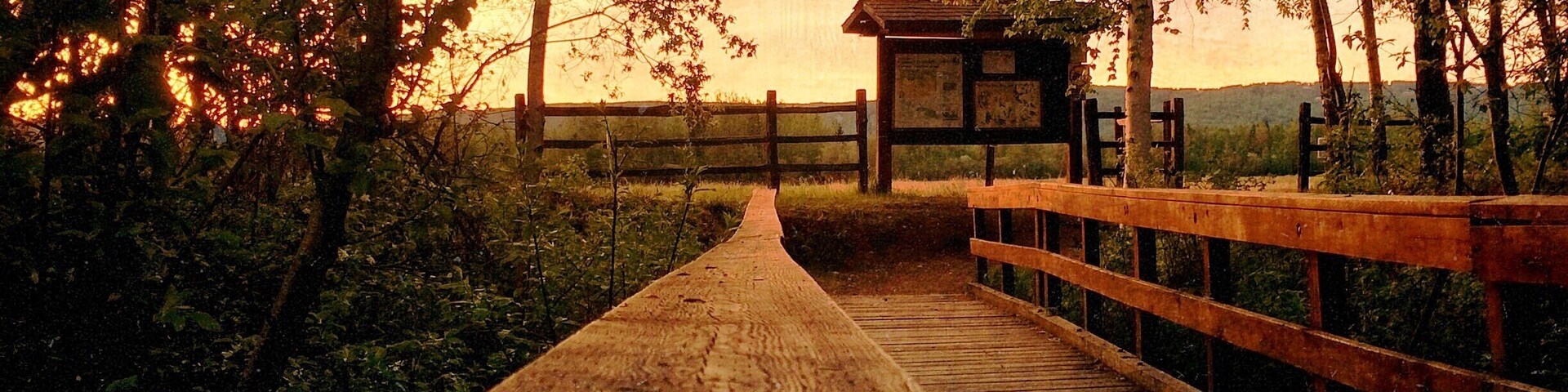 Creamers field 11:30 at night