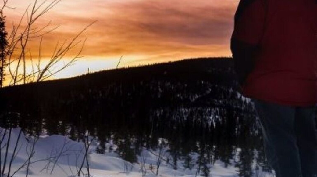 Chena Hot Springs Resort offers a large variety of activities year-round. One of those is snow shoeing, both a fantastic and frusterating experience lol you can rent a pair at their activity center for $7.50/hr or a flat $25 a day. There are several trails around the resort ranging from an easy walk to a strenuous climb. This one was the mountain ridge trail, a 3 mile easy walk around the resort that held some pretty fantastic views, especially at sunset. Once you master the art of moving in a snow shie, its a surprisingly enjoyable way to spend the afternoon! :)