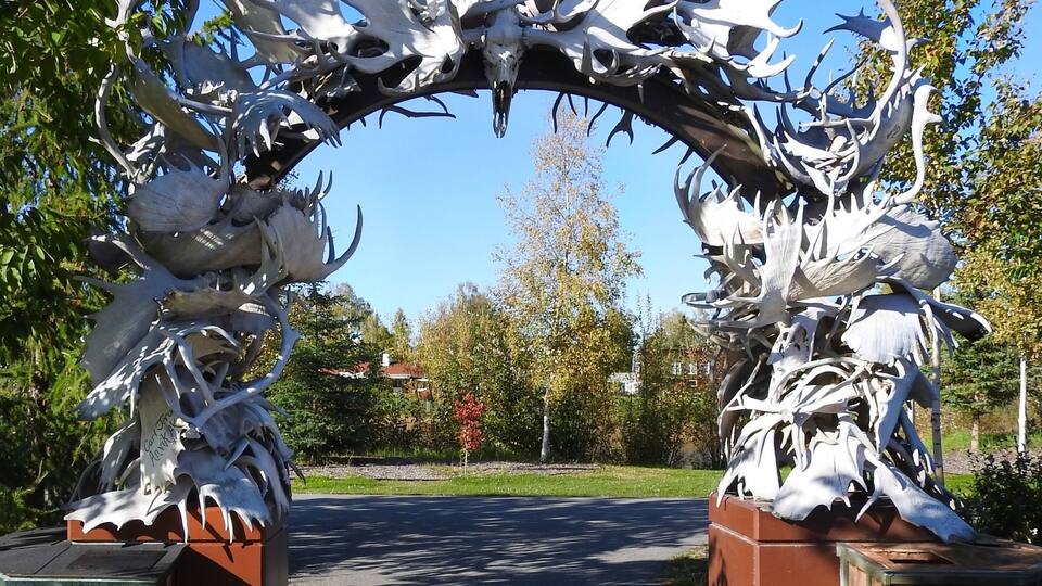Antler Arch is the Gateway to Downtown Fairbanks. The arch is made up of over 100 antlers that have been collected from all over Interior Alaska. (September 2016)