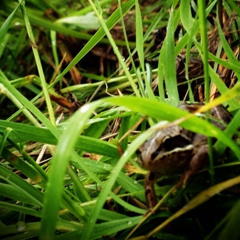 Check out this little guy! So cute! And so trusting! Lol