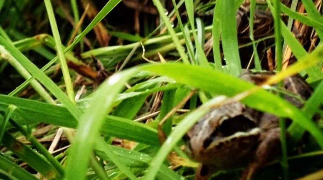 Check out this little guy! So cute! And so trusting! Lol