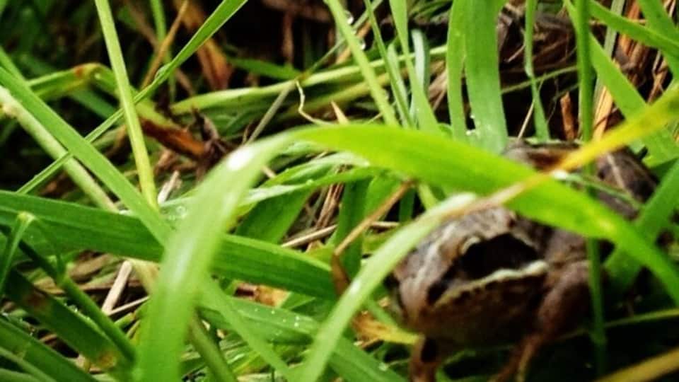 Check out this little guy! So cute! And so trusting! Lol