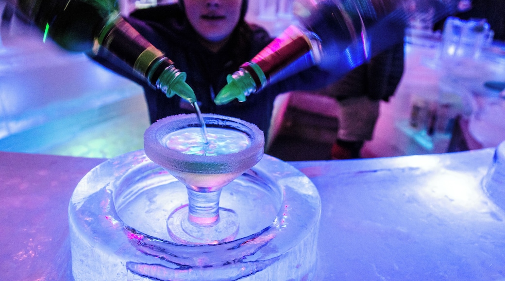 #ice #icebar #icemuseum #lifeatexpedia