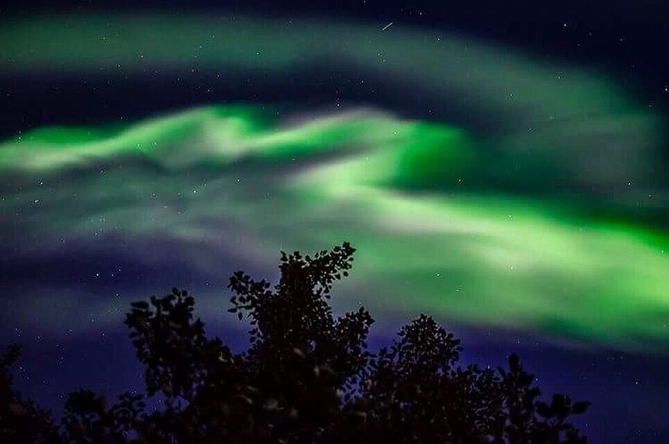 The Northern Lights (Aurora Borealis) over a dark sky with silhouettes of trees in the foreground.