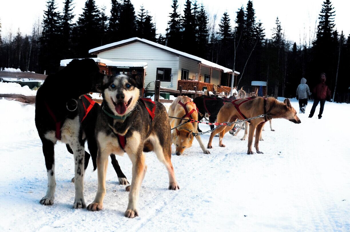 Chena Hot Springs offers a wide variety of wintertime activities.  Be sure to check out dogsledding while you're there- you'll never want to drive a car again!  Stop in the activity center to sign up- I think it was about $60/person for a half hour run.  The activity center can also hook you up with anything else you wanted to try.