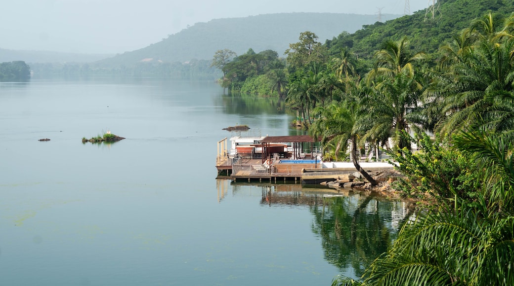 Wooden dock emerging from greenery and floating above the Volta River