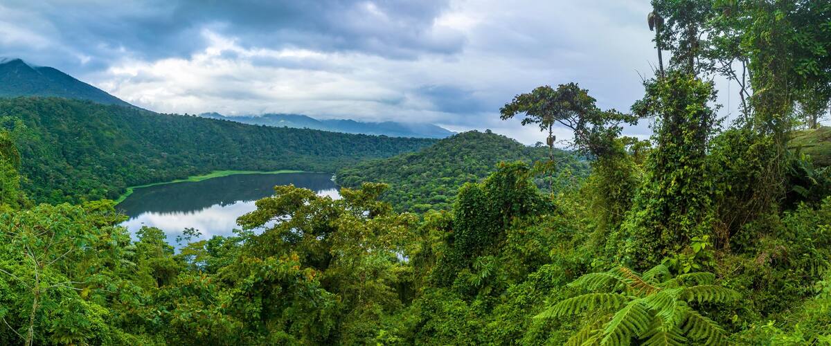 A lush green valley with a lake and a mountain in the background.