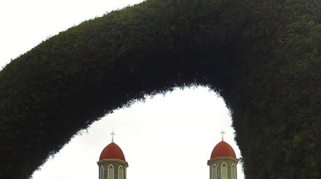 Zarcero, located near the town of Sarchi, is as unique as they come, with a garden maze greeting oh at the front of the town’s cathedral. Walk along the sides of the garden to observe some timeless pieces all made from trees and bushes, featuring animal forms, faces, and even a dinosaur. As if the sights were not enough, make sure to pick up some of zarcero’s “palmito” cheese, to immerse yourself fully in the local experience!