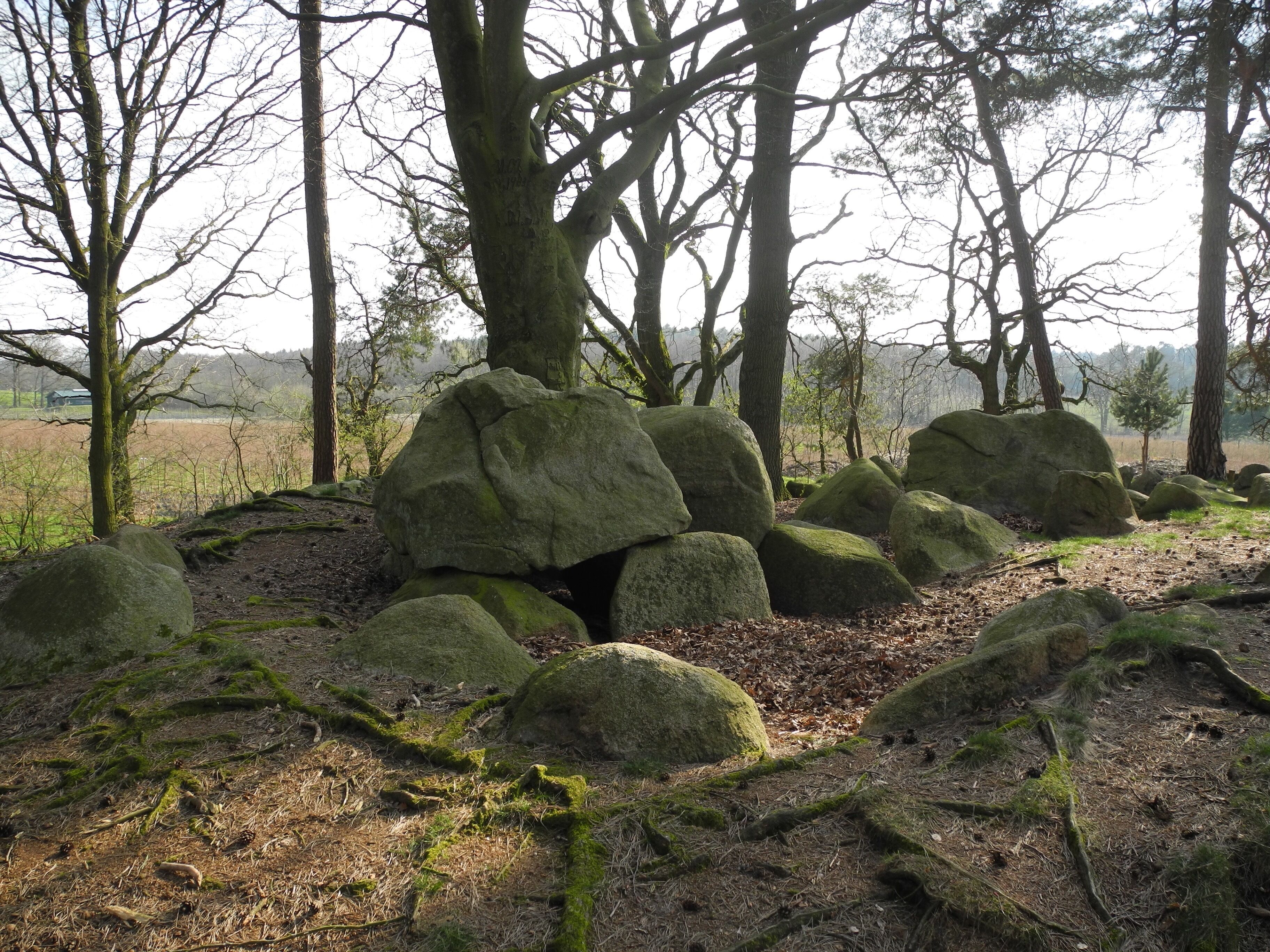 Megalithic tomb "Rickelmann II" (Westerholte, district Osnabrück, Lower Saxony, Germany).