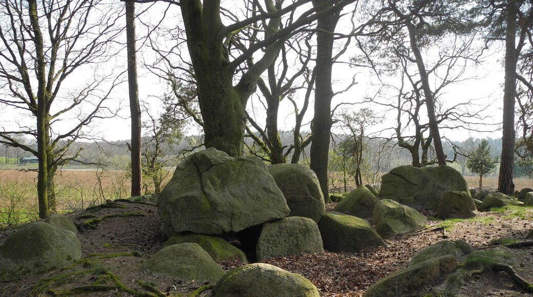 Megalithic tomb "Rickelmann II" (Westerholte, district Osnabrück, Lower Saxony, Germany).