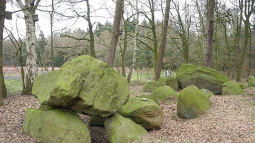 Megalithic tomb "Rickelmann I" (district Osnabrück in Lower Saxony, Germany).